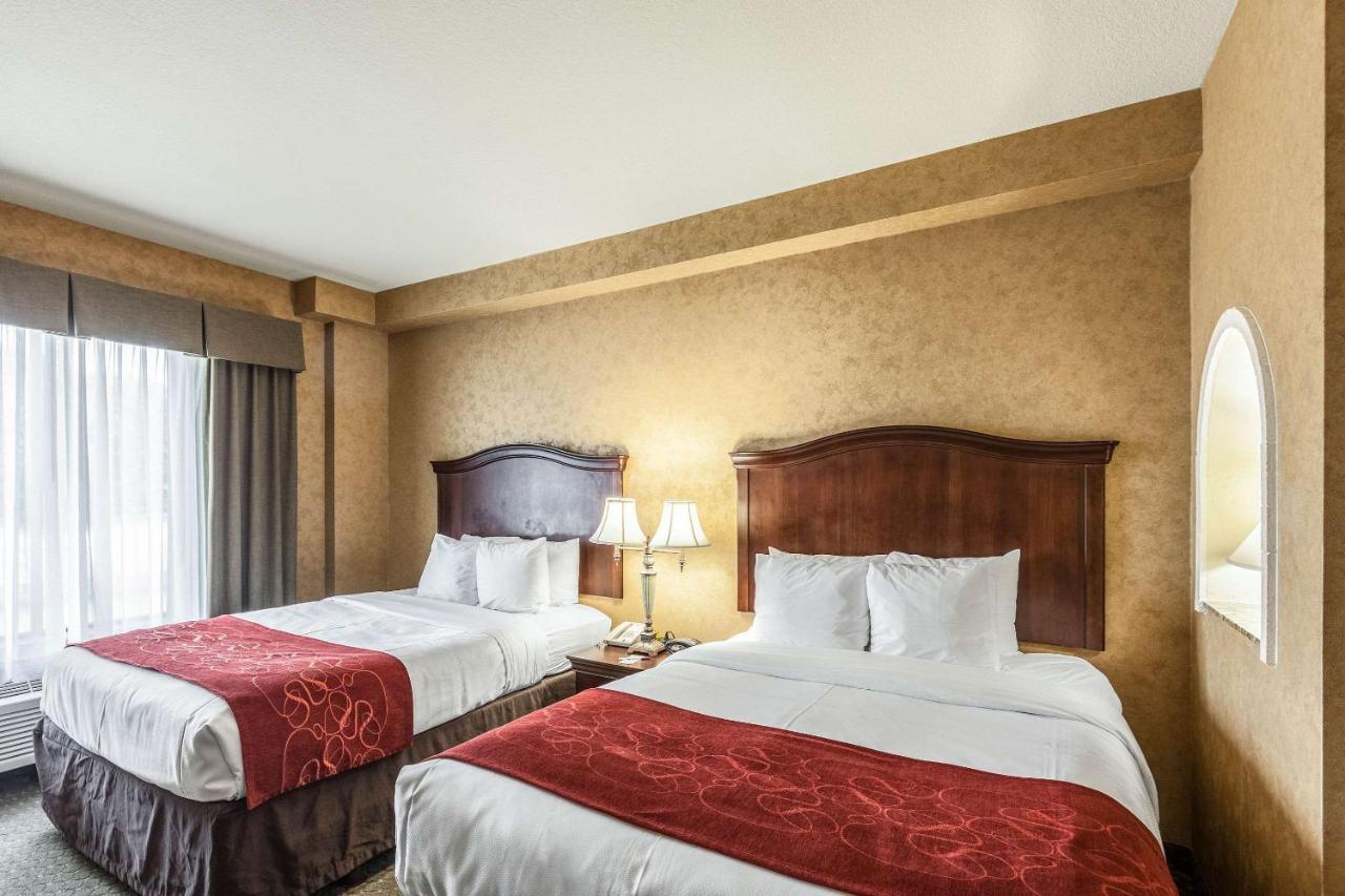 Comfort Suites Alamo-River Walk Сан-Антонио Экстерьер фото